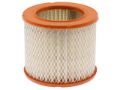 Imagen de Filtro de Aire FRAM CA3924 Para Buick Apollo/skylark 1985, Buick Century Fwd 1987-1996, Buick Regal 1988, y Otros