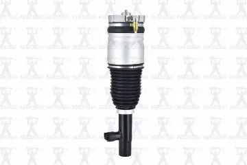 Mostrar detalles de Amortiguador Aire 92001 Para Volvo Xc90 2016-2019 Imagen de Amortiguador Aire 92001 Para Volvo Xc90 2016-2019