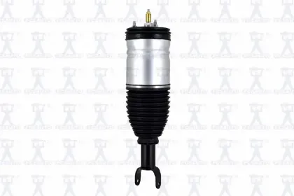 Imagen de Amortiguador Aire 93001 Para Dodge Ram 1500 Pickup 2013-2020