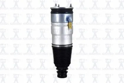 Imagen de Amortiguador Aire 93015 Para Tesla Model S 2014-2016