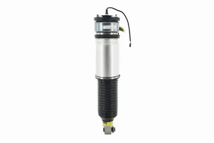 Imagen de Amortiguador Aire 99021 Para Bmw 745 Series 2002-2005, Bmw 750 Series 2006-2008, Bmw 760 Series 2003-2008, y Otros
