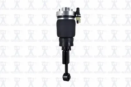 Imagen de Amortiguador Aire 99031 Para Ford Expedition 2003-2006, Lincoln Navigator 2003-2006