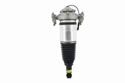 Imagen de Amortiguador Aire 99074 Para Porsche Cayenne 2011-2018, Porsche Cayenne Hybrid 2011-2018
