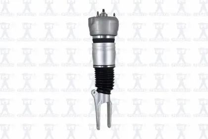 Imagen de Amortiguador Aire 99076 Para Porsche Panamera 2010-2013, Porsche Panamera Hybrid 2012-2013