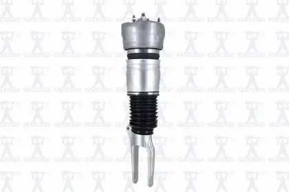 Imagen de Amortiguador Aire 99077 Para Porsche Panamera 2010-2013, Porsche Panamera Hybrid 2012-2013