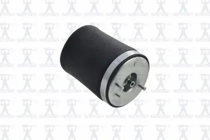Imagen de Resorte de Aire Q4021 Para Bmw X5 2000-2006