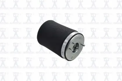 Imagen de Resorte de Aire Q4022 Para Bmw X5 2000-2006