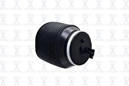 Imagen de Resorte de Aire Q4043 Para Lexus Gx 460 2010-2022