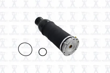 Imagen de Resorte de Aire Q9001 Para Audi Allroad 2001-2005