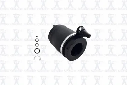 Imagen de Resorte de Aire Q9031 Para Ford Expedition 2003-2006, Lincoln Navigator 2003-2006