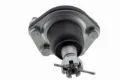 Imagen de Rotula K5335 DM15.45335