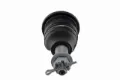 Imagen de Rotula K6696 DM15.46696