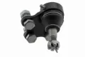 Imagen de Rotula K6701 DM15.46701