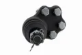 Imagen de Rotula K7393 DM30.47393