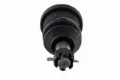 Imagen de Rotula K8685 DM35.48685