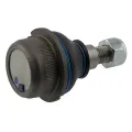 Imagen de Suspension VW181.405.371C