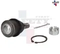 Imagen de ROTULA INFERIOR IZQ DER FIT 09-14 1025027 5072012
