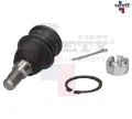 Imagen de ROTULA INFERIOR IZQ DER FIT 09-14 1025027 5072012