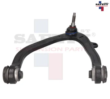 Mostrar detalles de HORQUILLA SUPERIOR IZQ F150 RAPTOR 10-14 4044109 Imagen de HORQUILLA SUPERIOR IZQ F150 RAPTOR 10-14 4044109