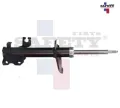 Imagen de AMORTIGUADOR DELANTERA DER SENTRA B15 01-06 RN SCALA 10-13 GAS 333344 MP8252 7000097 GP252