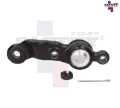 Imagen de ROTULA INFERIOR IZQ TACOMA 95-04 4X2 2510003 8772003