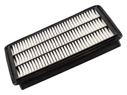 Imagen de Filtro de Aire PA6054 Para Kia Borrego 2009