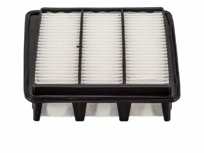 Imagen de Filtro de Aire PA5602 Para Hyundai Azera 2006-2011, Hyundai Sonata 2006-2010