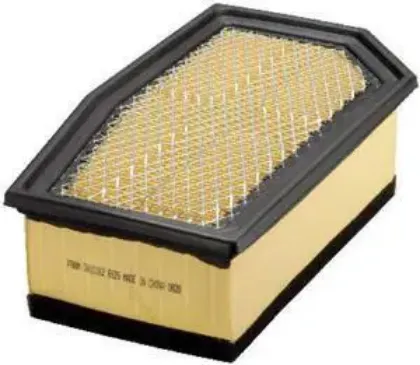 Imagen de Filtro de Aire Walmi WA-10162