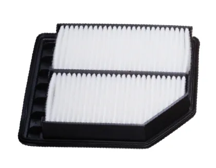 Imagen de Filtro de Aire Walmi WA-10165