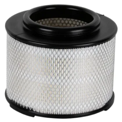 Imagen de Filtro de Aire Walmi WA-9916