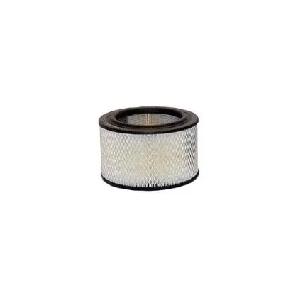 Imagen de Filtro de Aire Walmi WA-3998